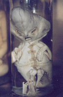 "Alien" Fetus